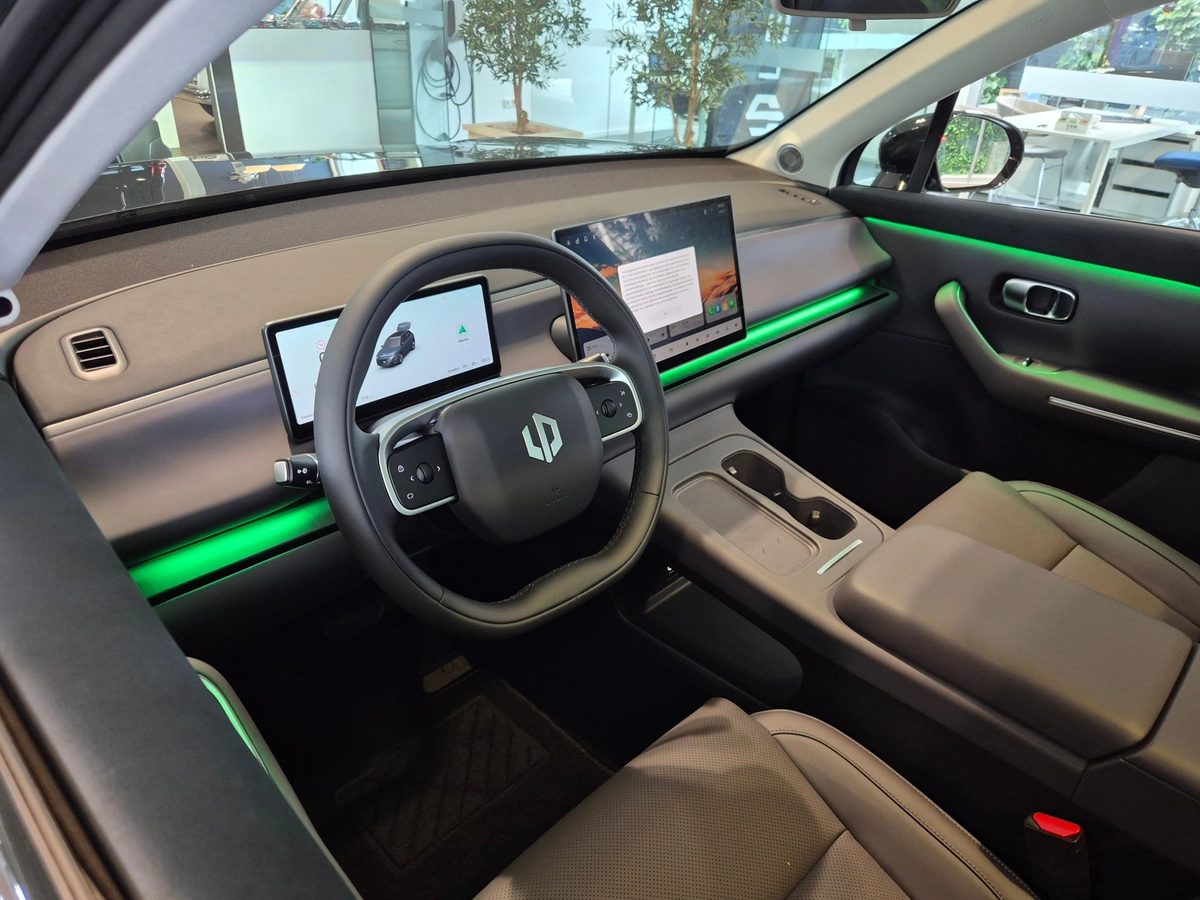 Leapmotor Versteeg Buurman Barneveld.jpg