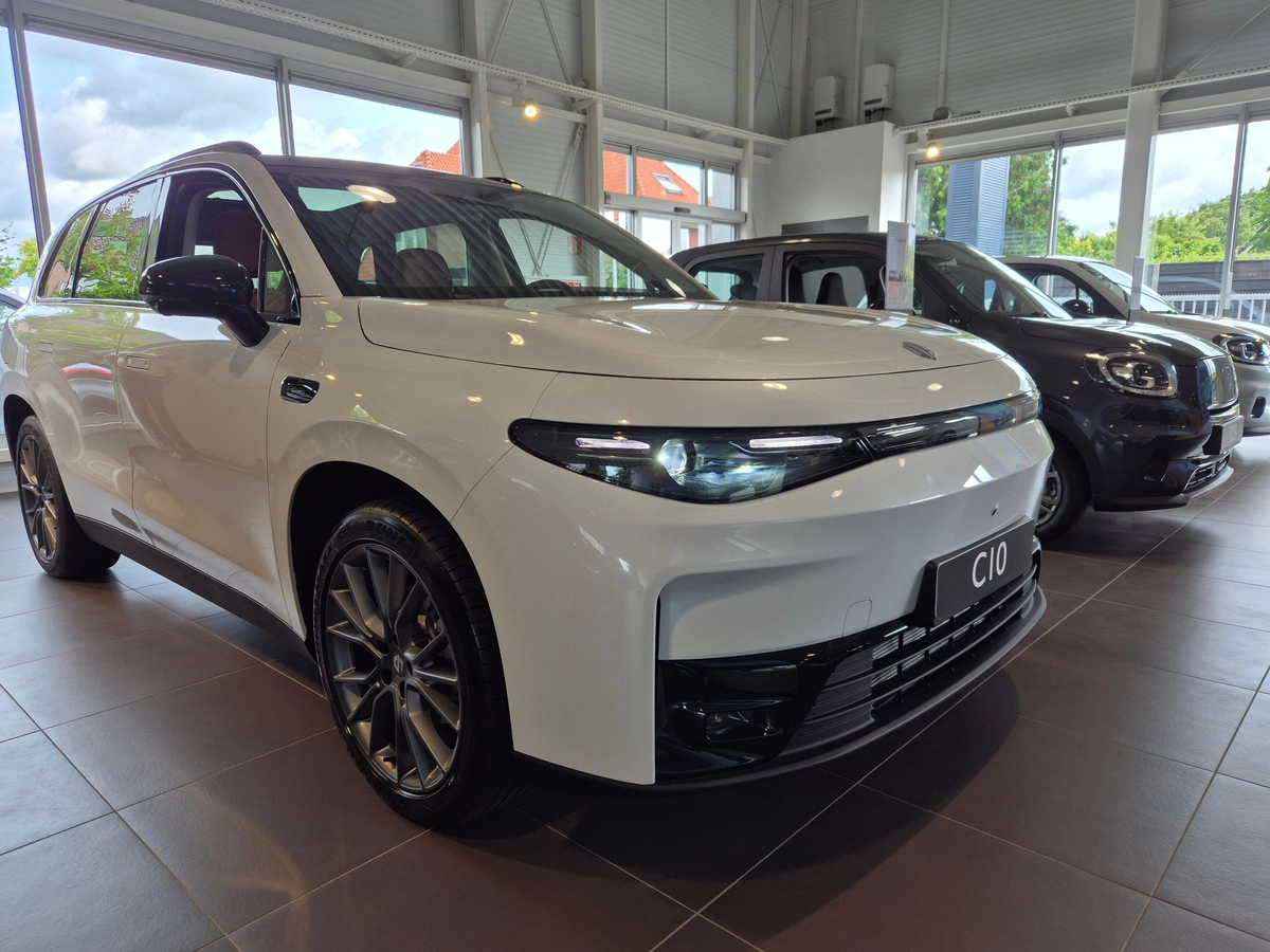 Leapmotor Versteeg Buurman Barneveld.jpg