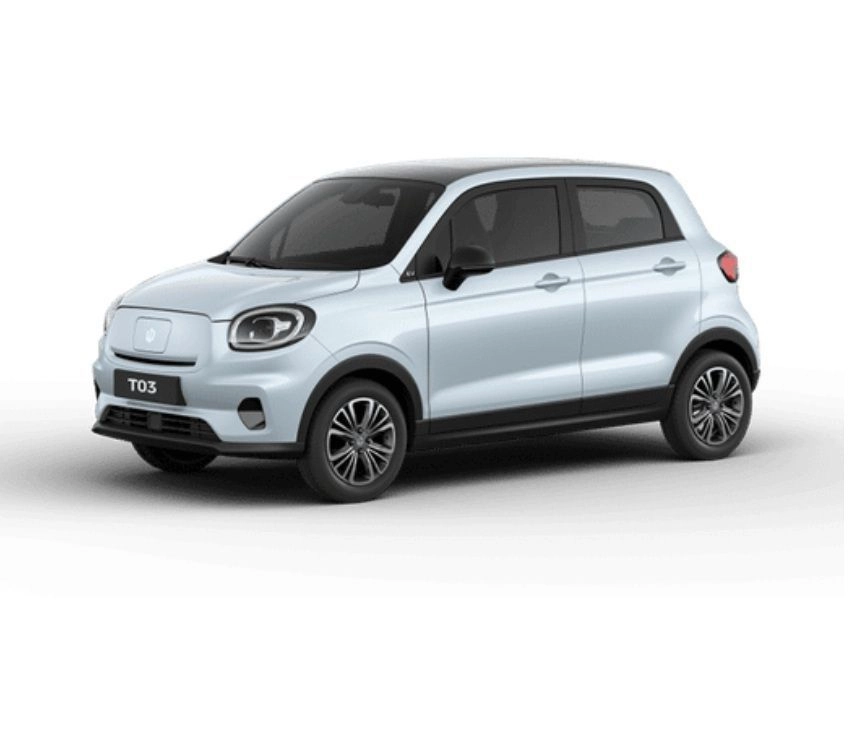 Leapmotor T03 Versteeg Buurman Barneveld.jpg